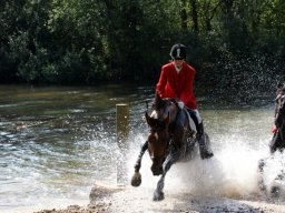 304345_10151090369973585_1931354556_n